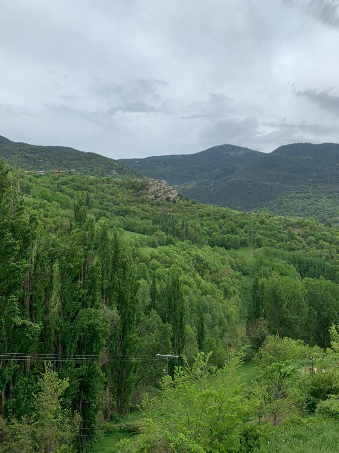 Apartamentsaloriaburg Farrera Dış mekan fotoğraf